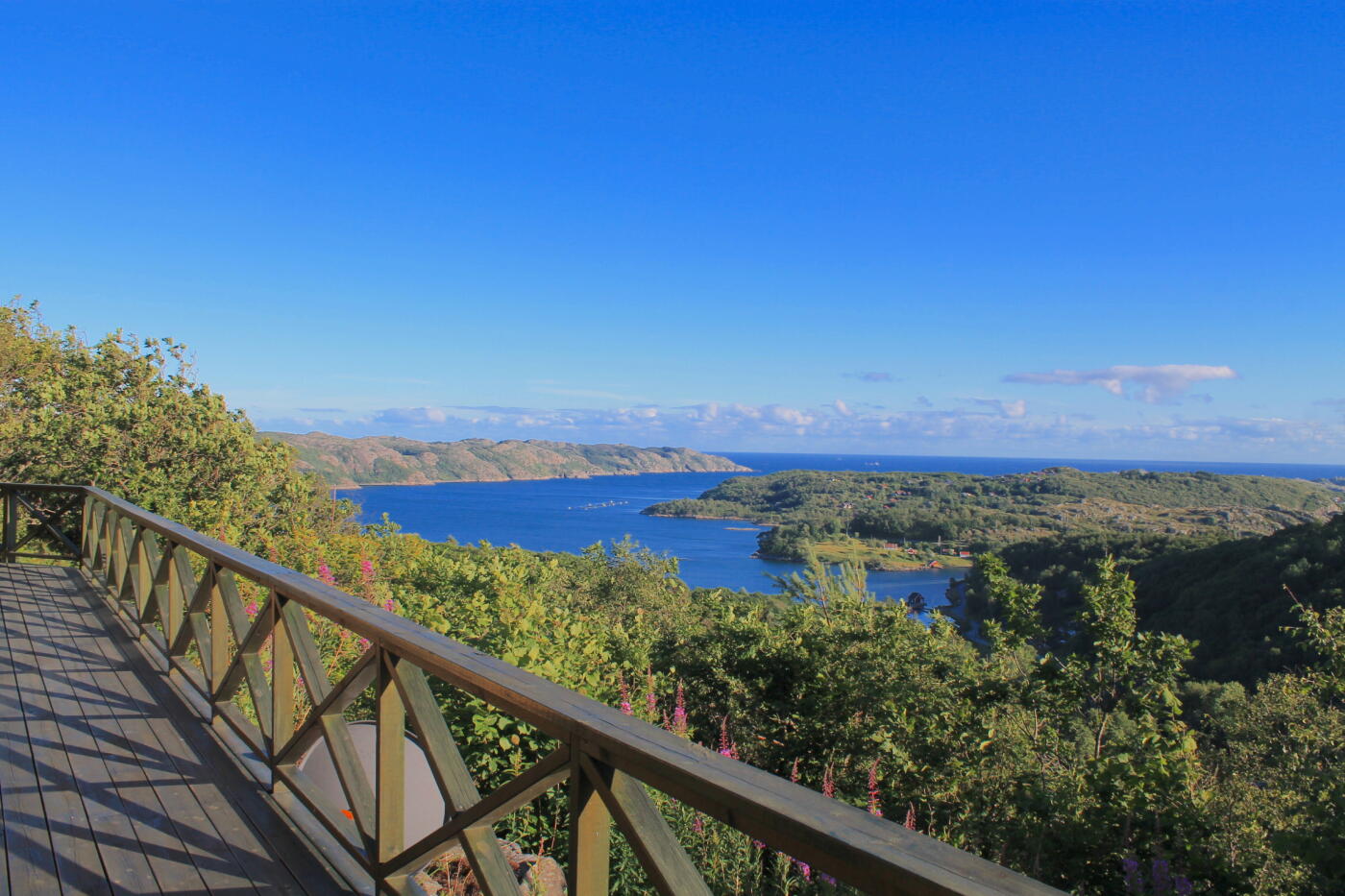 Property view 5